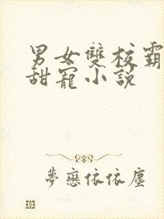 男女双校霸校园甜宠小说