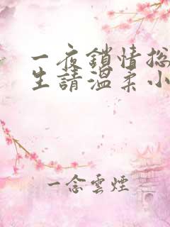 一夜锁情总裁先生请温柔小说全集完整版txt