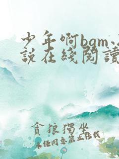 少年啊bgm小说在线阅读免费全文