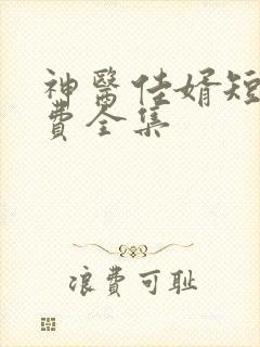 神医佳婿短剧免费全集