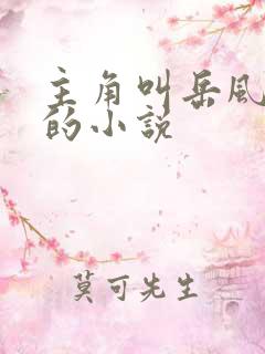 主角叫岳风柳萱的小说