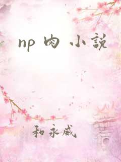 np 肉 小说