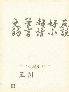 文笔超好反复看的言情小说