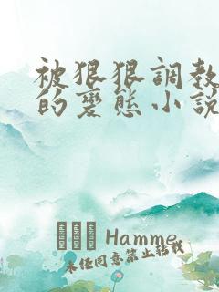 被狠狠调教玩弄的变态小说