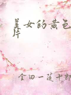 美女的黄色一级片