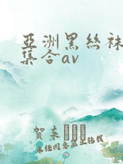 亚洲黑丝袜极品集合av