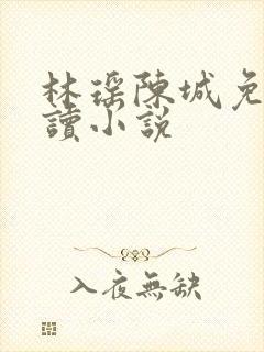 林瑶陈城免费阅读小说
