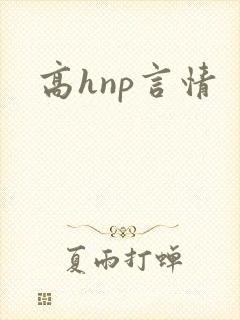 高hnp言情