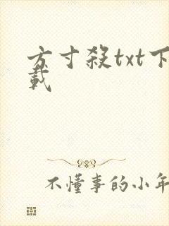 方寸杀txt下载