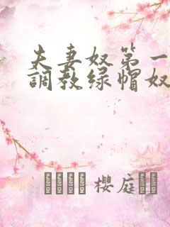 夫妻奴第一视角调教绿帽奴视频vk