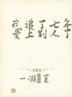 我追了七年的人爱上别人了by