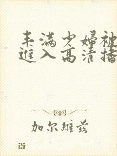 丰满少妇被猛烈进入高清播放,