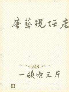 唐艺现任老公谁