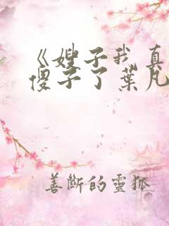 《嫂子我真不是傻子了叶凡》