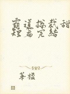 霸道总裁甜宠文短篇完结