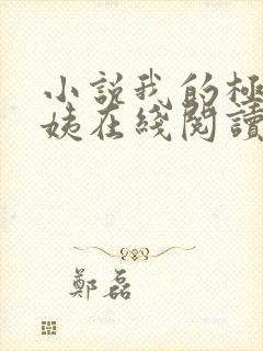 小说我的极品小姨在线阅读