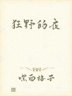 狂野的夜