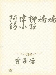 阿伟柳娇娇芳姨的小说