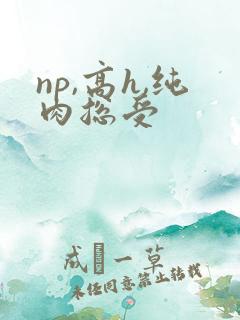 np,高h,纯肉总受