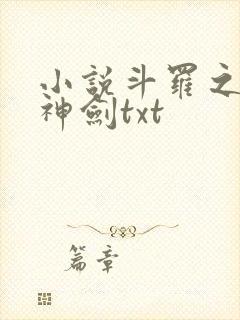 小说斗罗之灵珠神剑txt