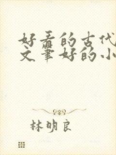 好看的古代言情文笔好的小说