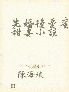 先婚后爱蜜宠娇甜妻小说
