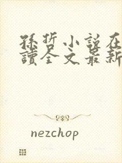 孙哲小说在线阅读全文最新