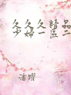 久久久精品人妻少妇一区二区