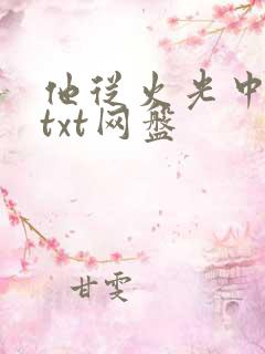 他从火光中走来txt网盘