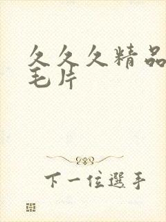 久久久精品国产毛片