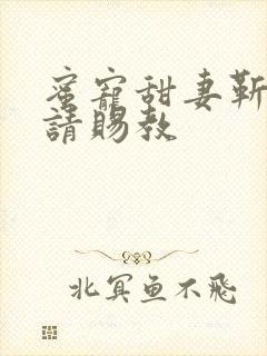 蜜宠甜妻靳先生请赐教