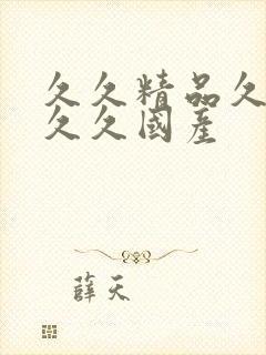 久久精品久久久久久国产