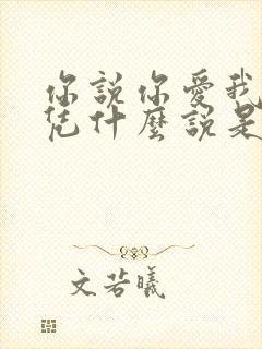 你说你爱我爱我凭什么说是什么歌