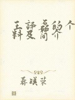 王译磊的个人资料及简介