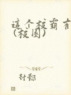 这个校霸有点甜 (校园)