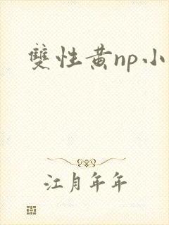 双性黄np小说