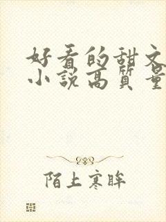 好看的甜文言情小说高质量文笔好