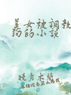 美女被调教成母狗的小说