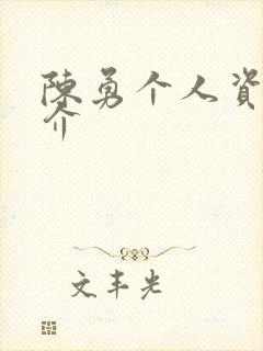 陈勇个人资料简介