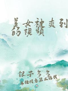 美女被爽到呻吟的视频