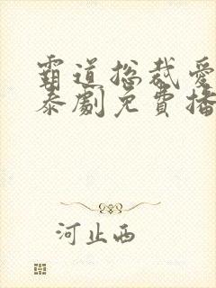 霸道总裁爱上我泰剧免费播放