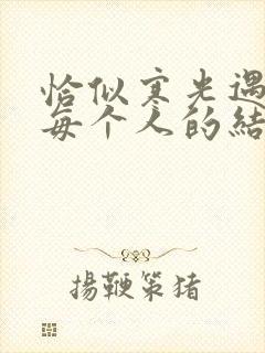 恰似寒光遇骄阳每个人的结局