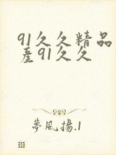 91久久精品国产91久久