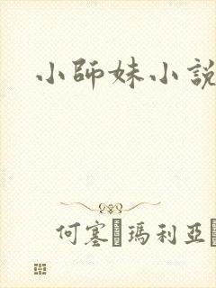小师妹小说
