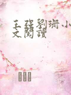 王强刘珊小说全文阅读