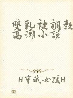 双乳被调教玩弄高潮小说