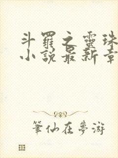 斗罗之灵珠神剑小说最新章节列表