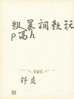 粗暴调教玩弄np高h