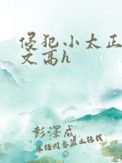 侵犯小太正肉车文高h