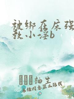 被绑在床强做调教小淫b